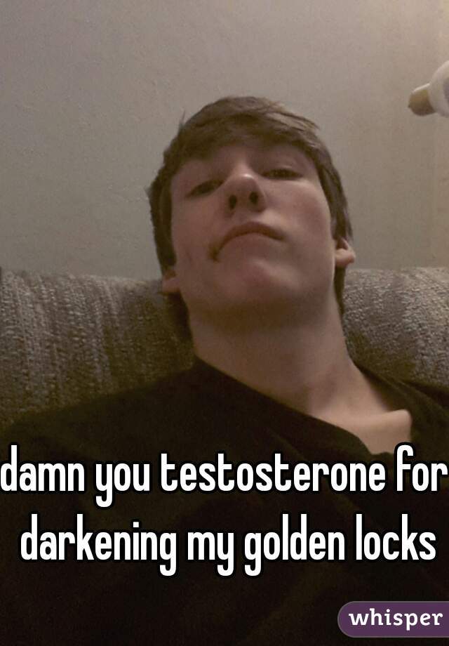 damn you testosterone for darkening my golden locks