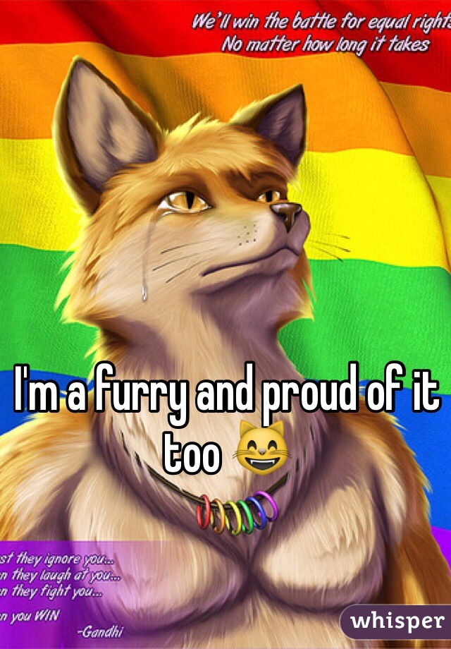 I'm a furry and proud of it too 😸