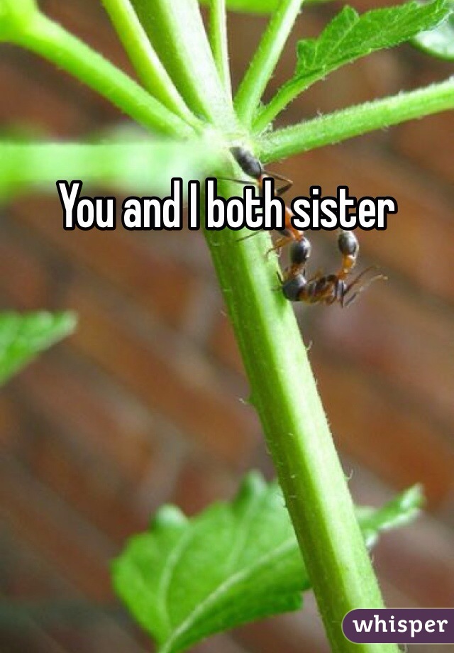 You and I both sister 