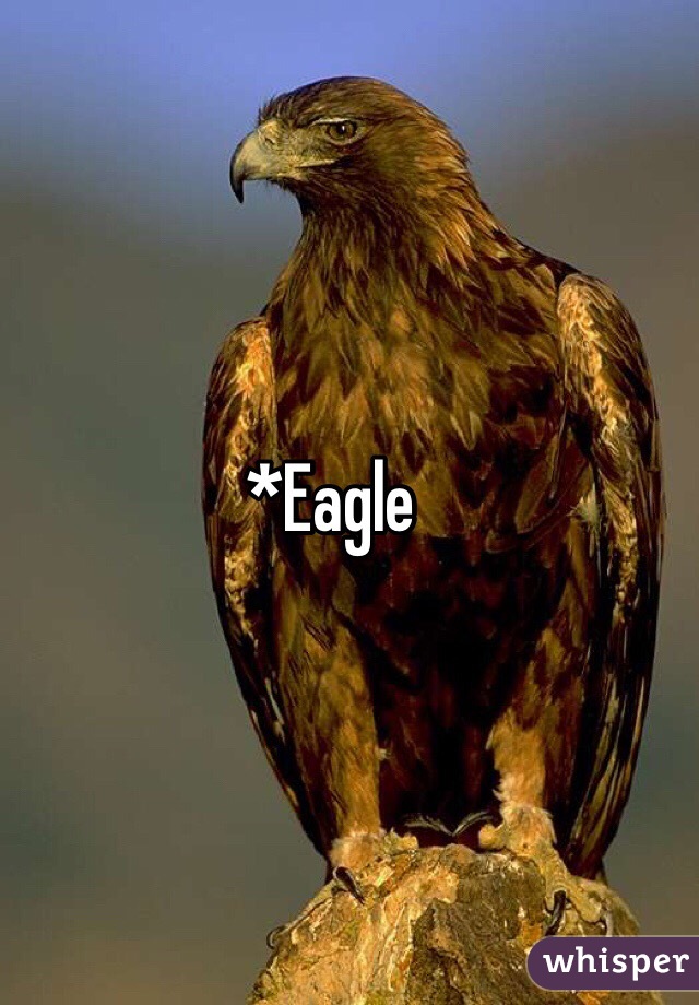 *Eagle