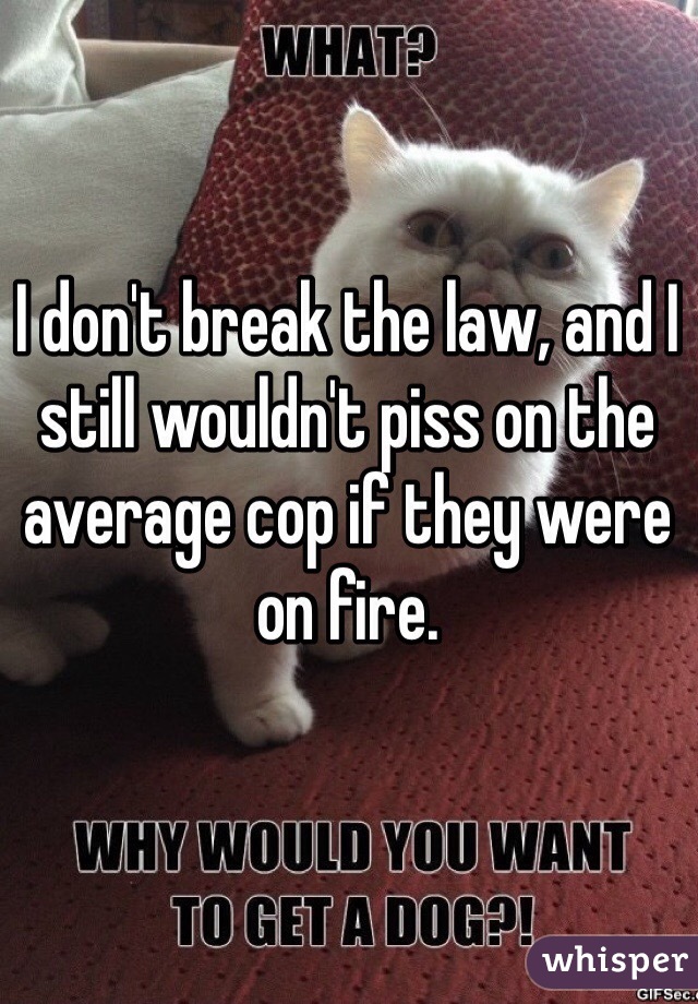 I don't break the law, and I still wouldn't piss on the average cop if they were on fire. 