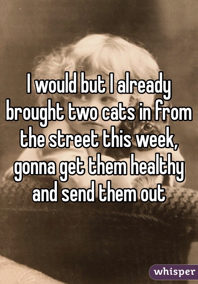 I would but I already brought two cats in from the street this week, gonna get them healthy and send them out 