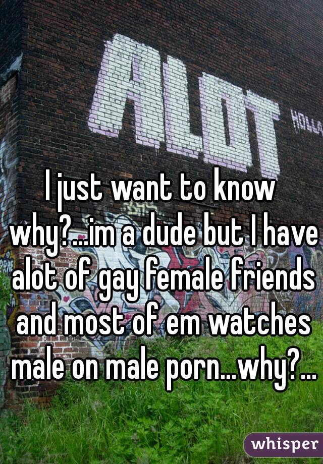 I just want to know why?...im a dude but I have alot of gay female friends and most of em watches male on male porn...why?...