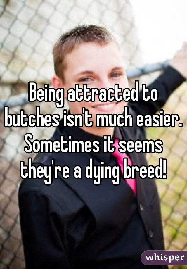 Being attracted to butches isn't much easier. Sometimes it seems they're a dying breed!