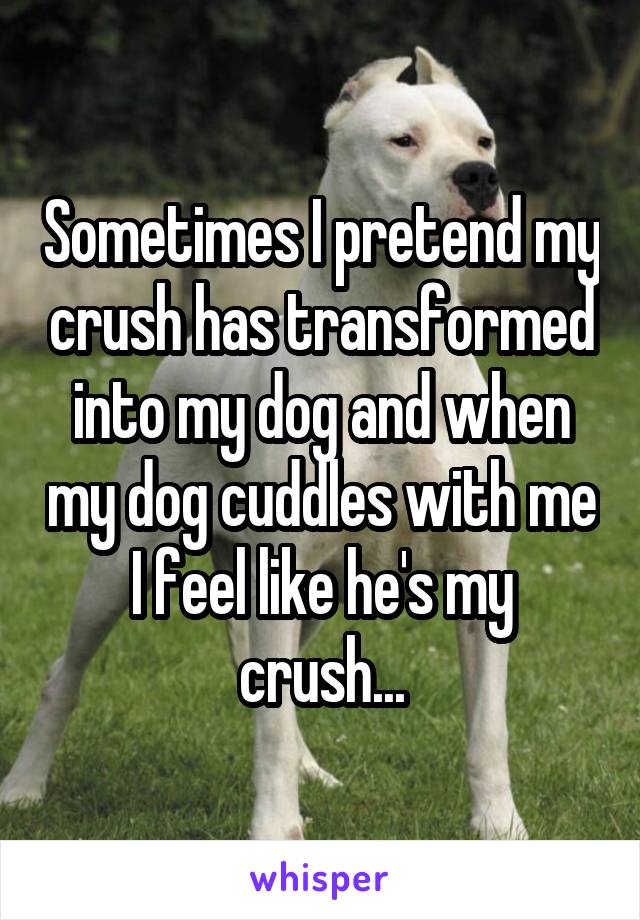 Sometimes I pretend my crush has transformed into my dog and when my dog cuddles with me I feel like he's my crush...