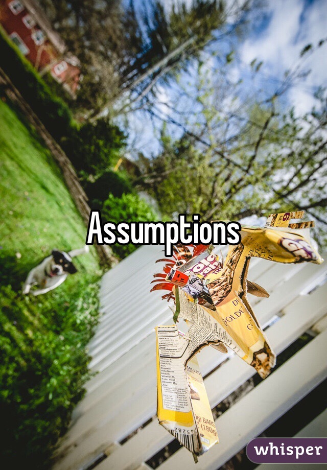 Assumptions 