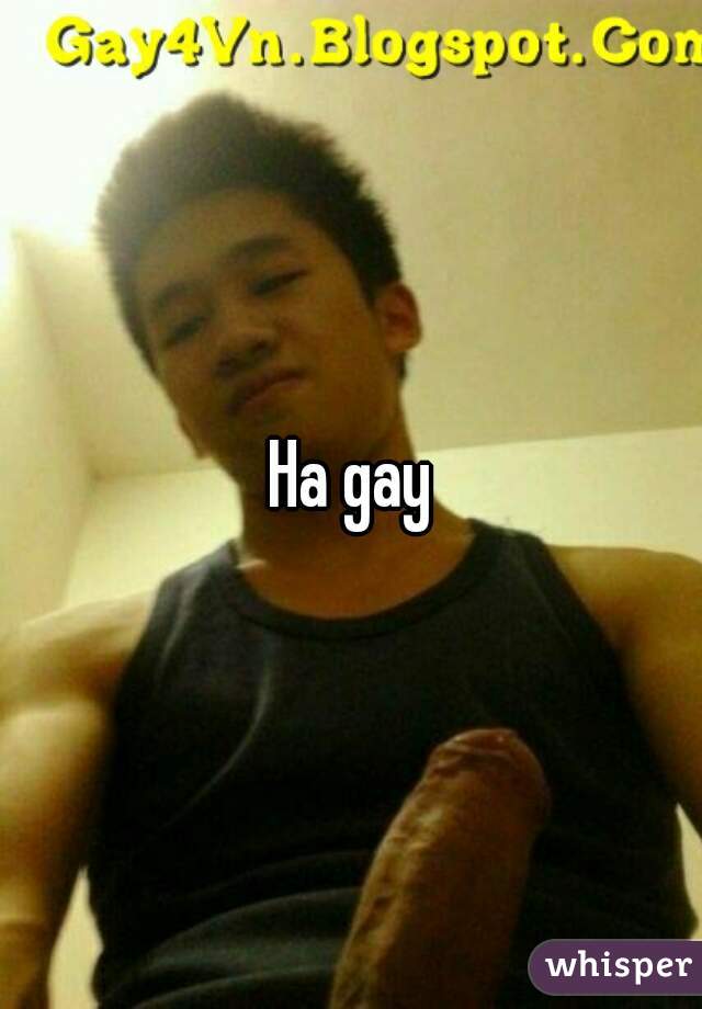 Ha gay
