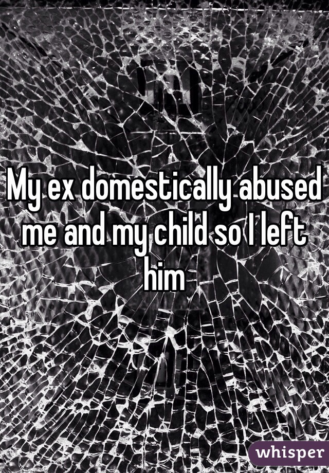 My ex domestically abused me and my child so I left him