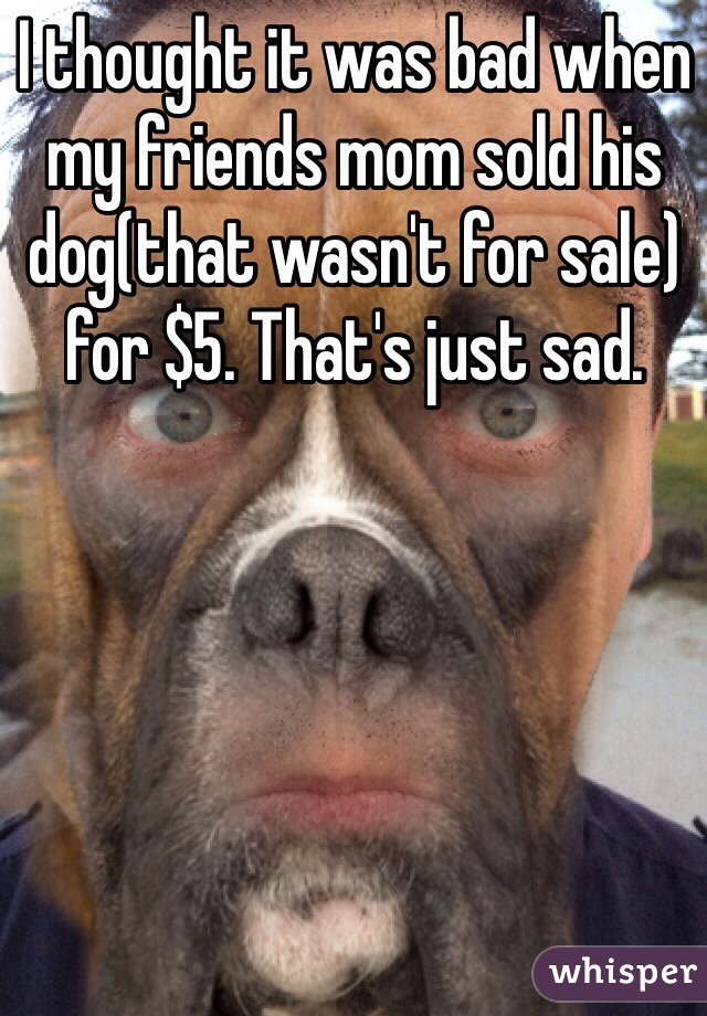 I thought it was bad when my friends mom sold his dog(that wasn't for sale) for $5. That's just sad.