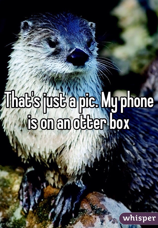 That's just a pic. My phone is on an otter box