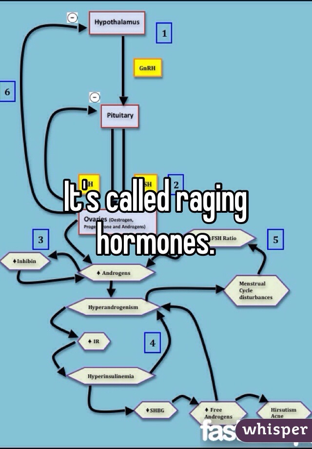 It's called raging hormones. 