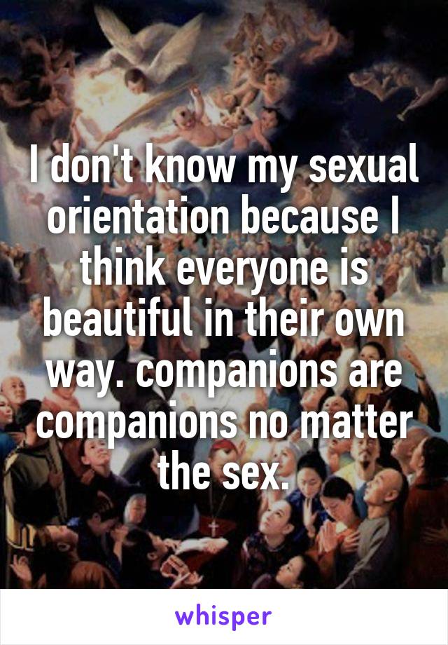 I don't know my sexual orientation because I think everyone is beautiful in their own way. companions are companions no matter the sex.