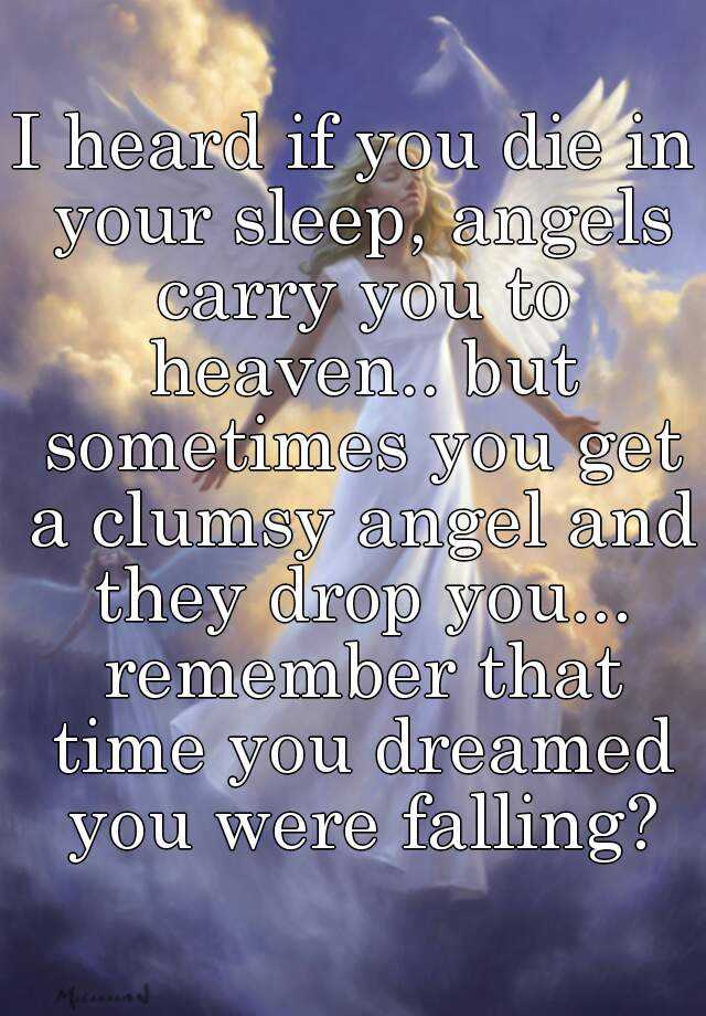 i-heard-if-you-die-in-your-sleep-angels-carry-you-to-heaven-but