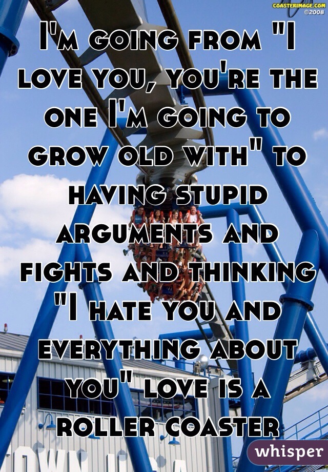 I'm going from "I love you, you're the one I'm going to grow old with" to having stupid arguments and fights and thinking "I hate you and everything about you" love is a  roller coaster 