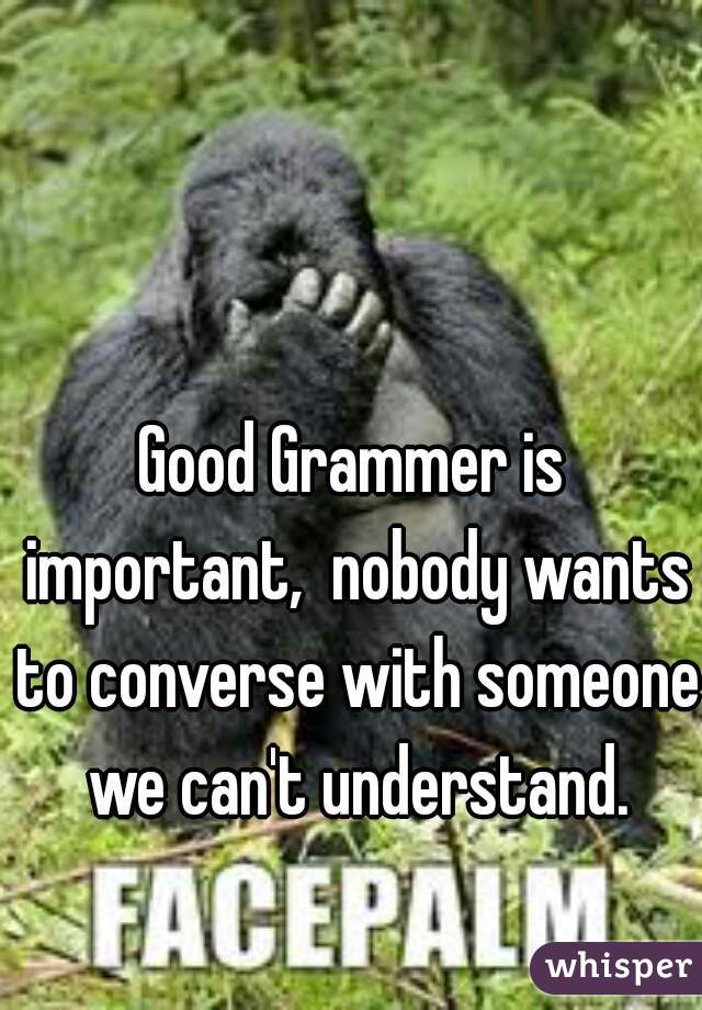 Good Grammer is important,  nobody wants to converse with someone we can't understand.