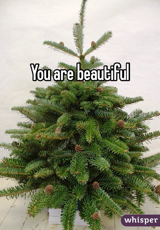 You are beautiful 