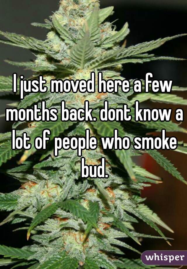 I just moved here a few months back. dont know a lot of people who smoke bud.