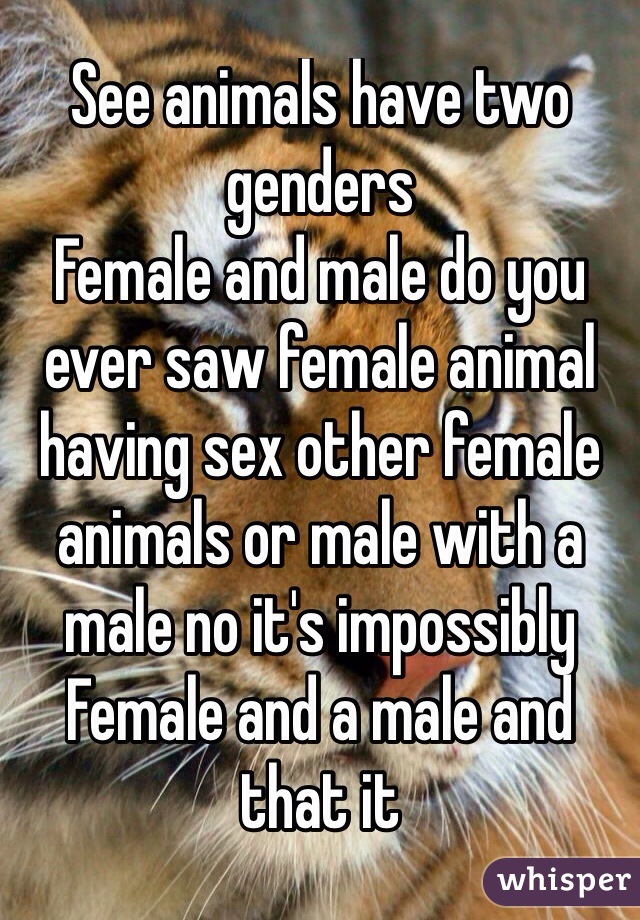 See animals have two genders  
Female and male do you ever saw female animal having sex other female animals or male with a male no it's impossibly  
Female and a male and that it 
