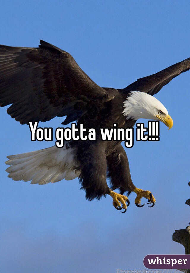 You gotta wing it!!!