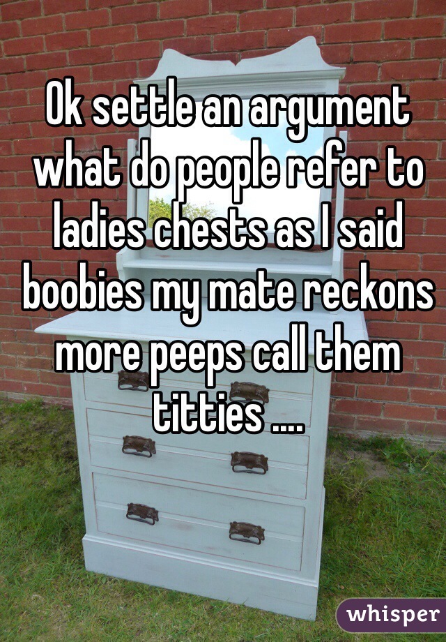 Ok settle an argument what do people refer to ladies chests as I said boobies my mate reckons more peeps call them titties .... 