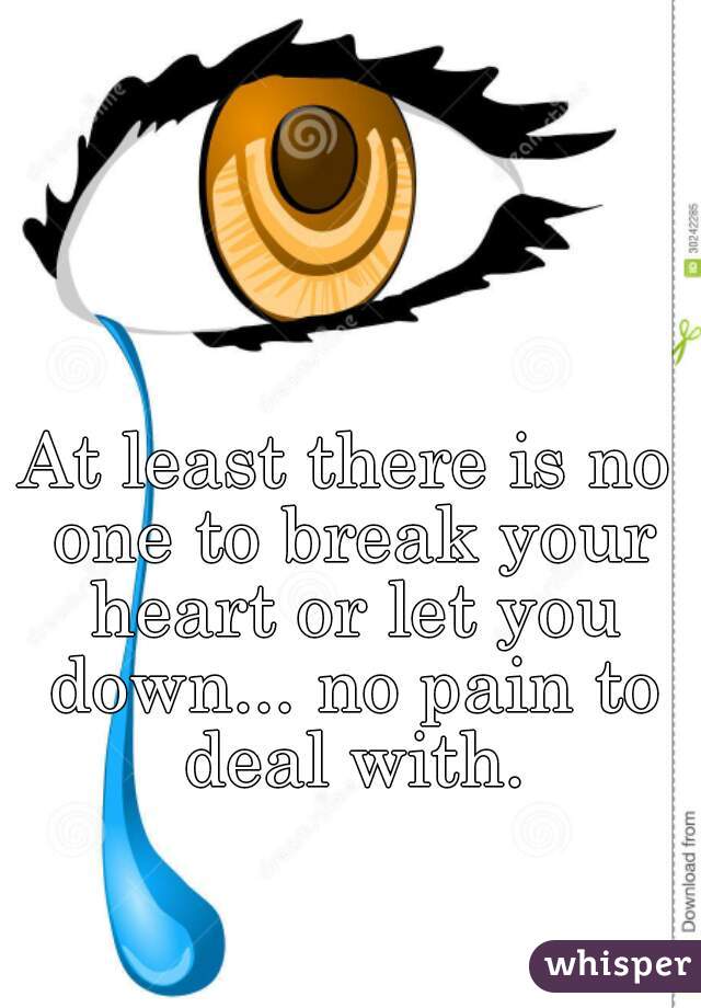 At least there is no one to break your heart or let you down... no pain to deal with.