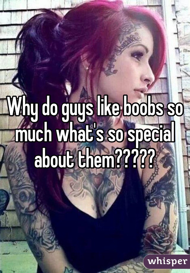 Why do guys like boobs so much what's so special about them?????