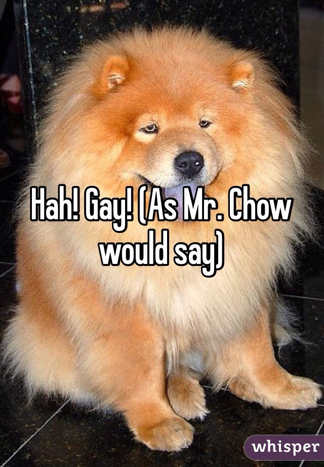 Hah! Gay! (As Mr. Chow would say)