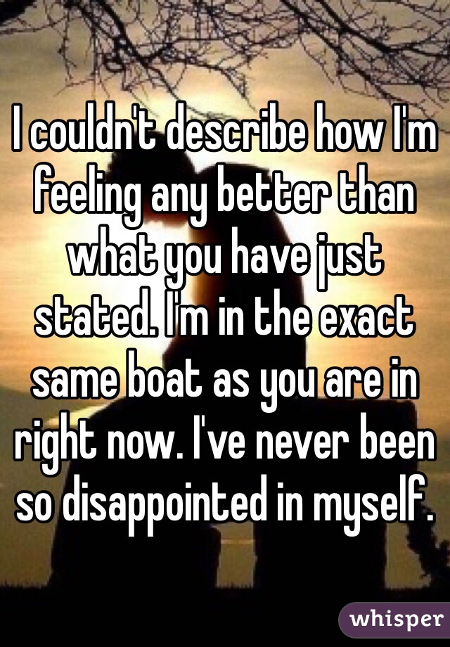 I couldn't describe how I'm feeling any better than what you have just stated. I'm in the exact same boat as you are in right now. I've never been so disappointed in myself. 
