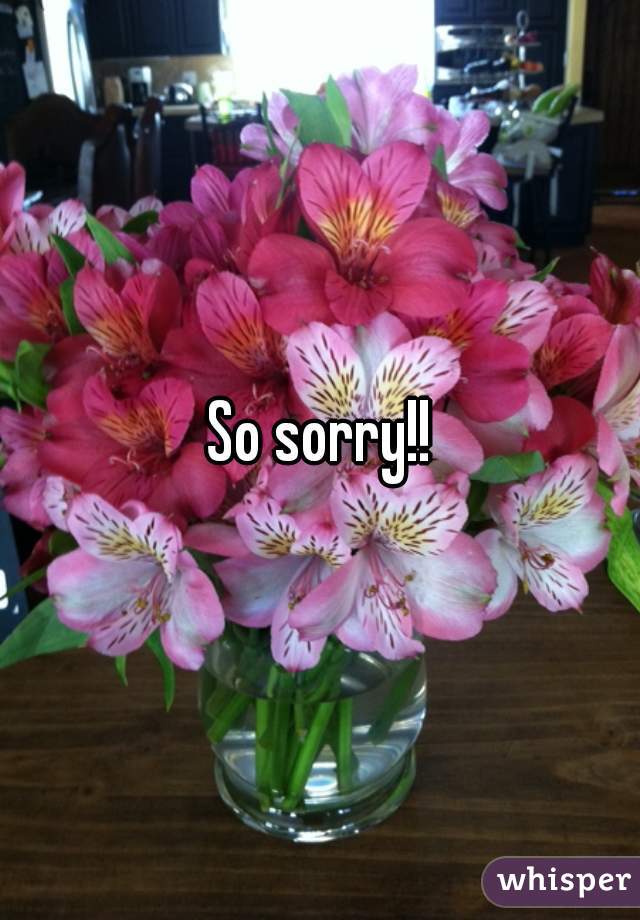 So sorry!!