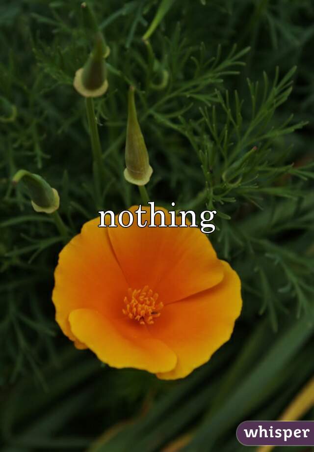 nothing