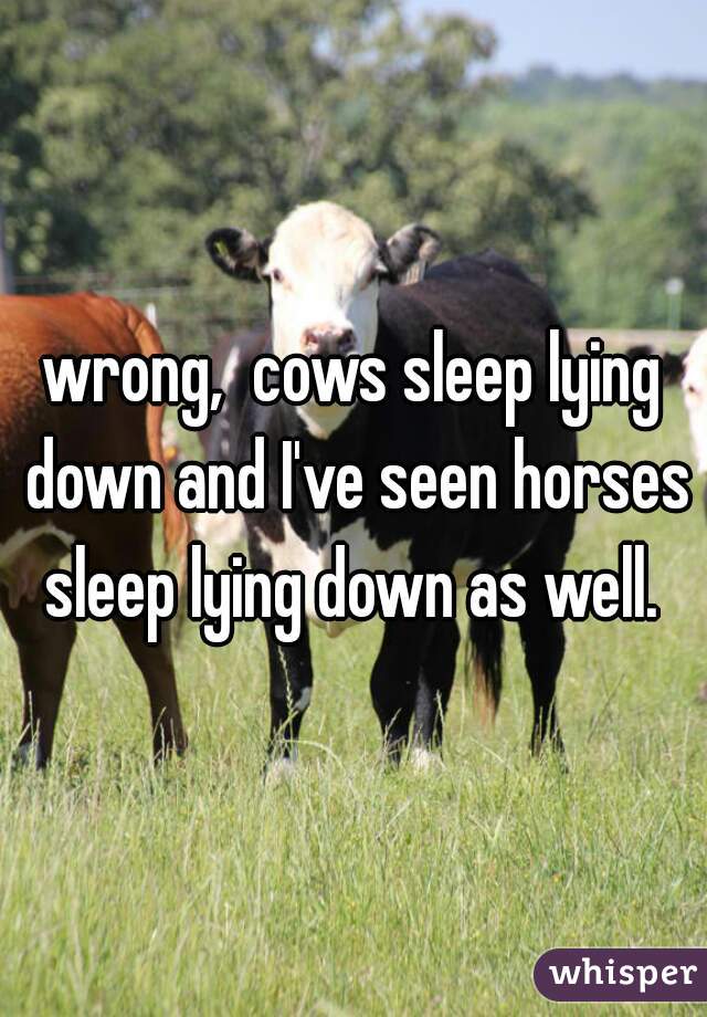 wrong,  cows sleep lying down and I've seen horses sleep lying down as well. 