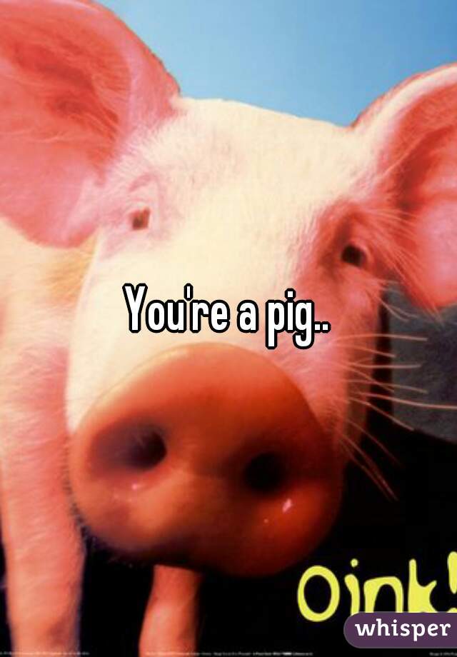 You're a pig..