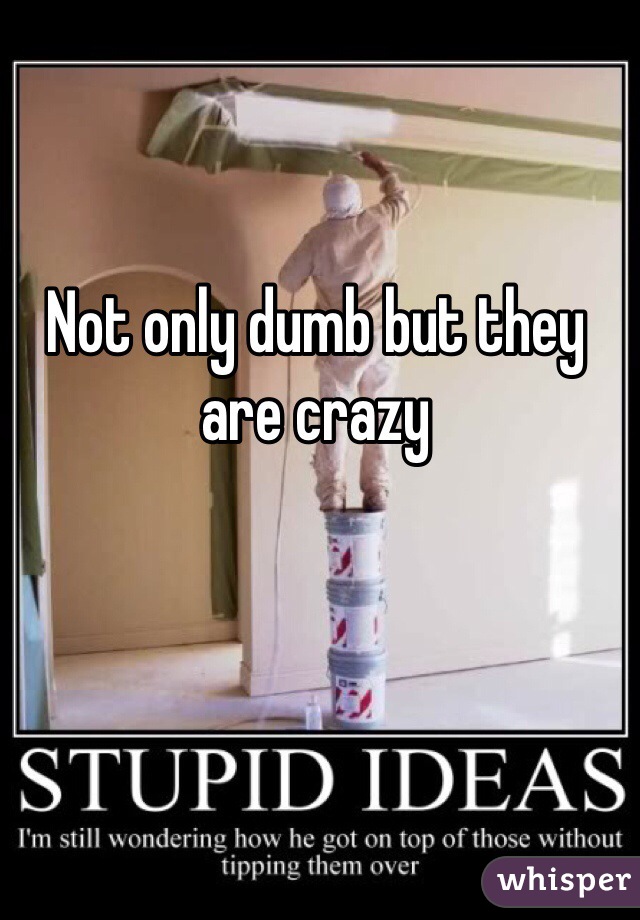 Not only dumb but they are crazy