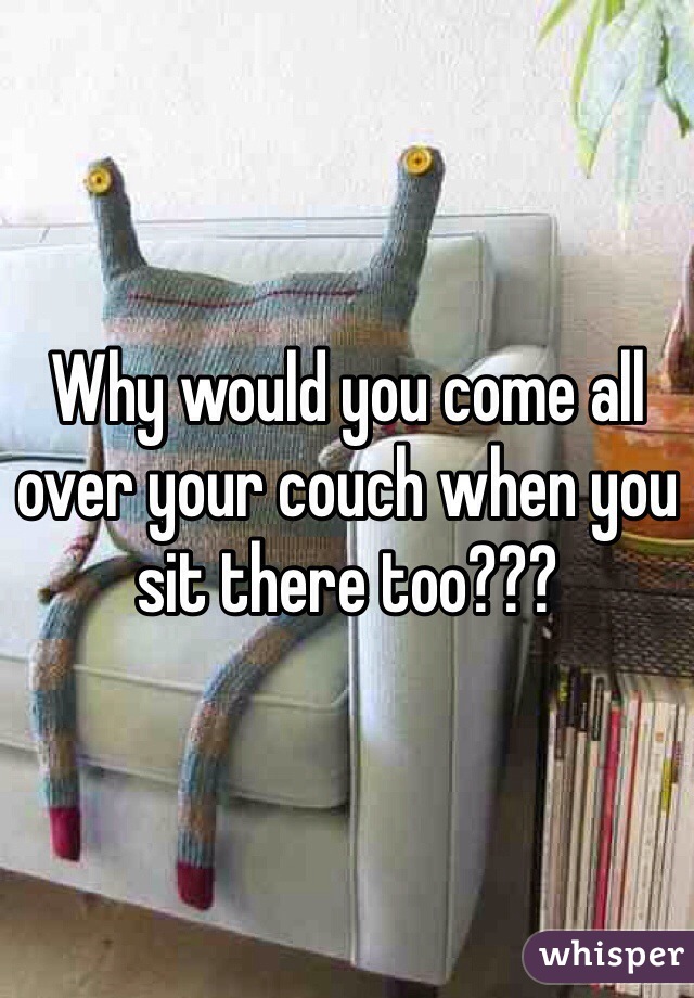Why would you come all over your couch when you sit there too??? 