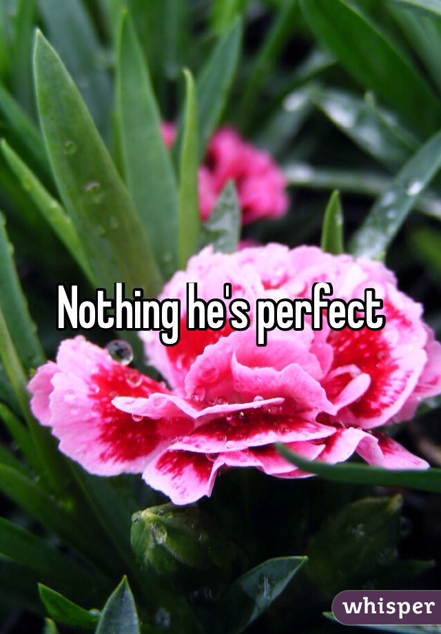 Nothing he's perfect
