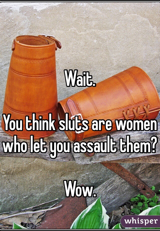 Wait.

You think sluts are women who let you assault them?

Wow.