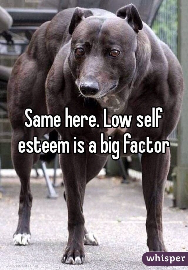 Same here. Low self esteem is a big factor 