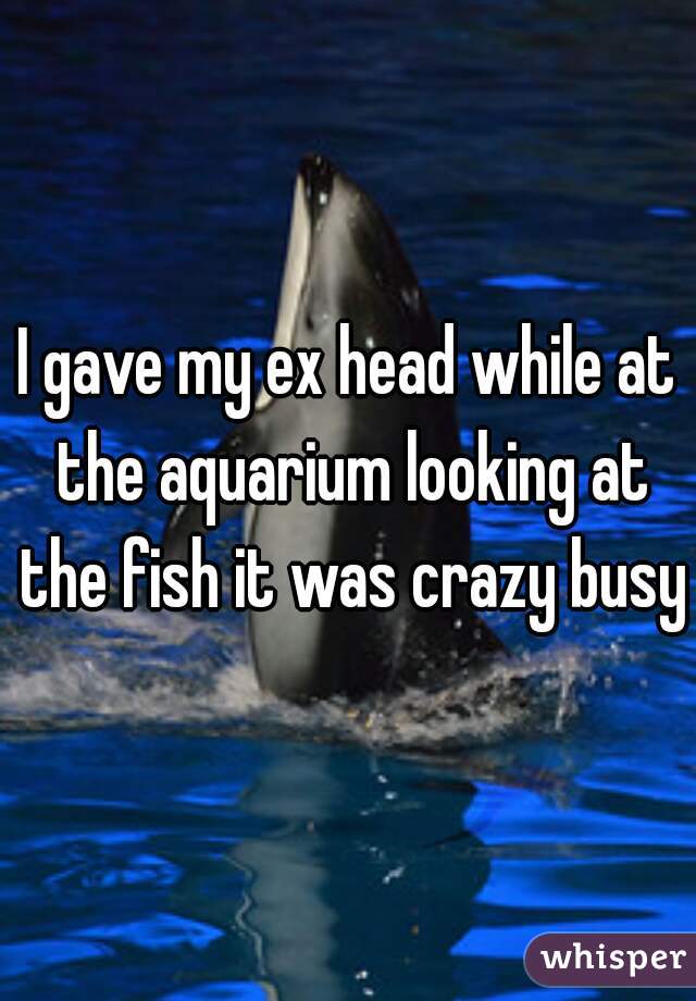 I gave my ex head while at the aquarium looking at the fish it was crazy busy