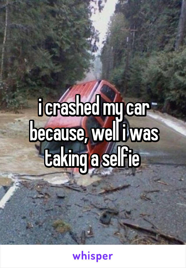 i crashed my car because, well i was taking a selfie 