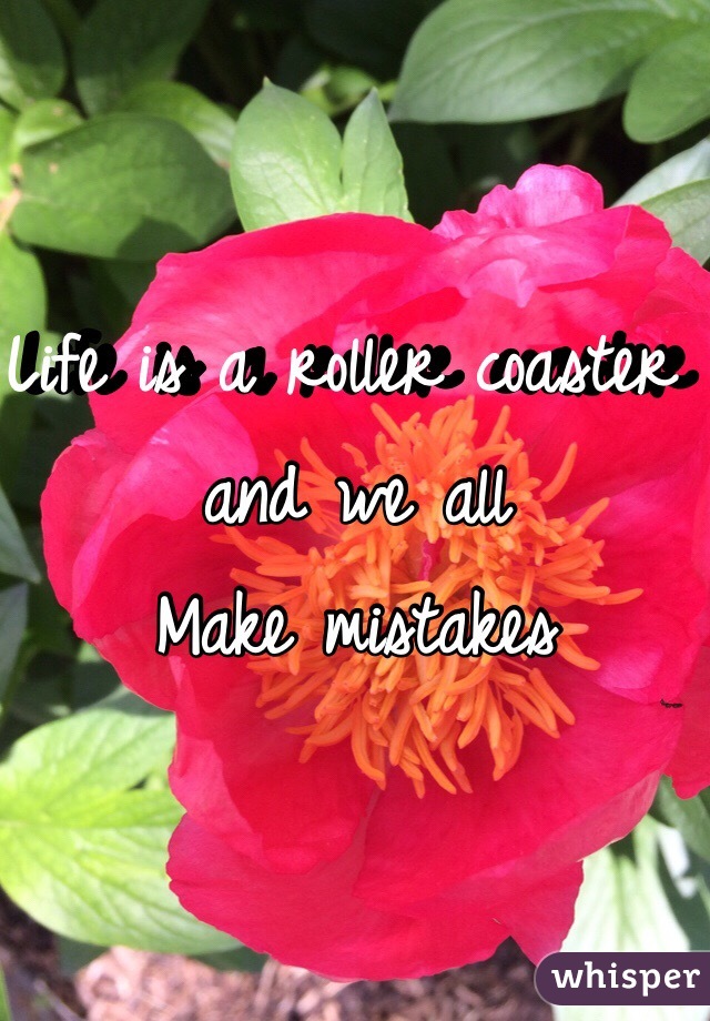 Life is a roller coaster and we all
Make mistakes 