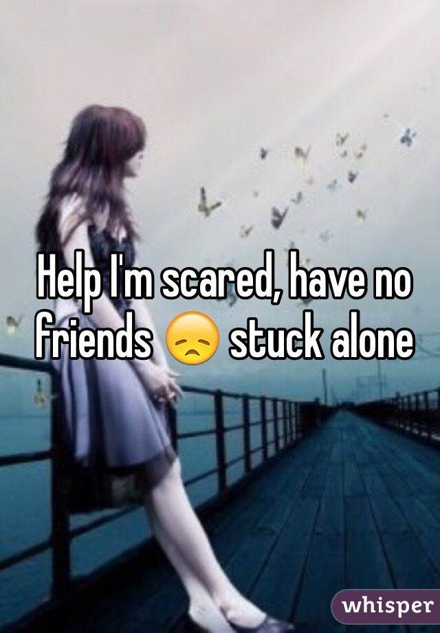 Help I'm scared, have no friends 😞 stuck alone