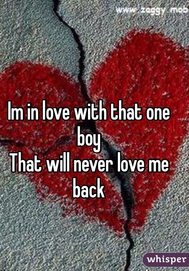 Im in love with that one boy 
That will never love me back