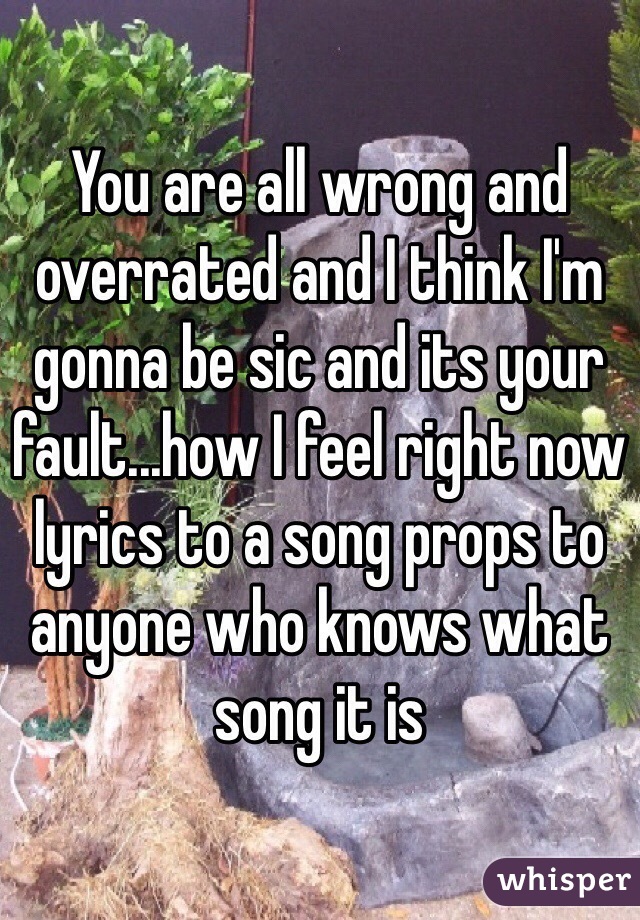 You are all wrong and overrated and I think I'm gonna be sic and its your fault...how I feel right now lyrics to a song props to anyone who knows what song it is 