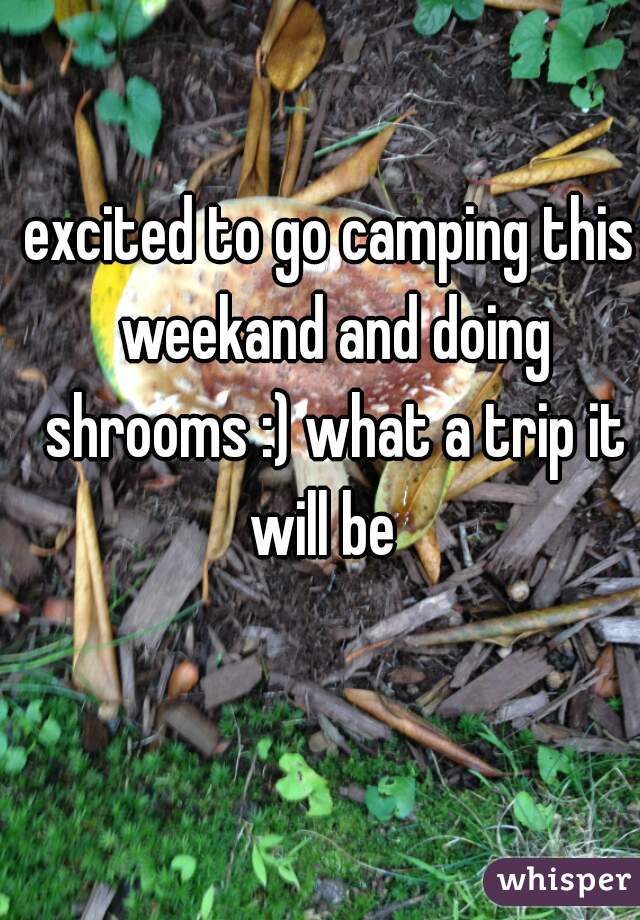 excited to go camping this weekand and doing shrooms :) what a trip it will be  