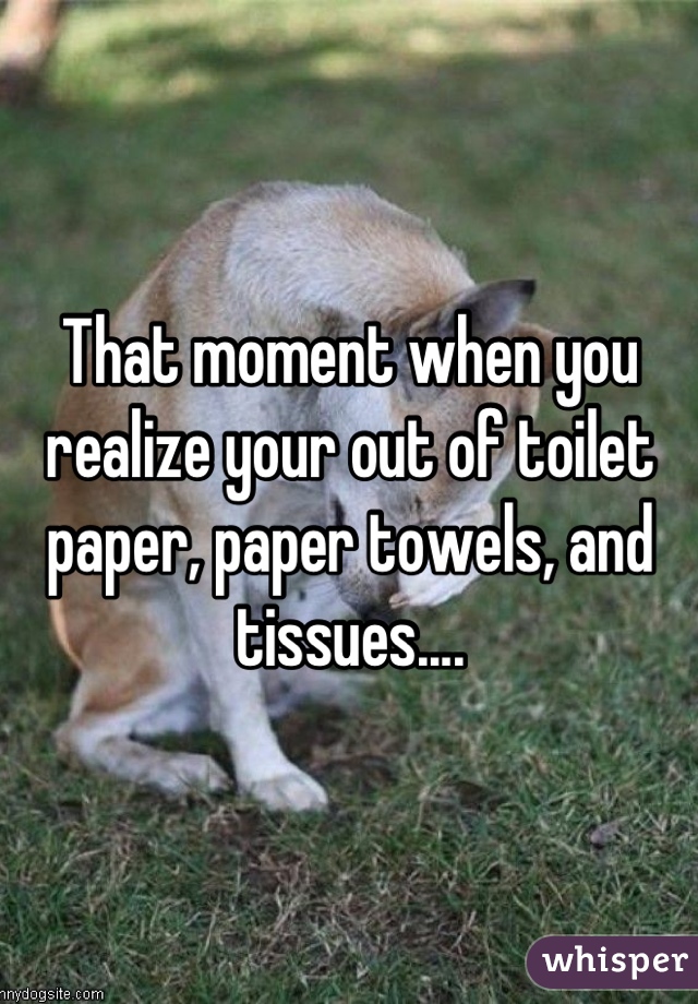 That moment when you realize your out of toilet paper, paper towels, and tissues....
