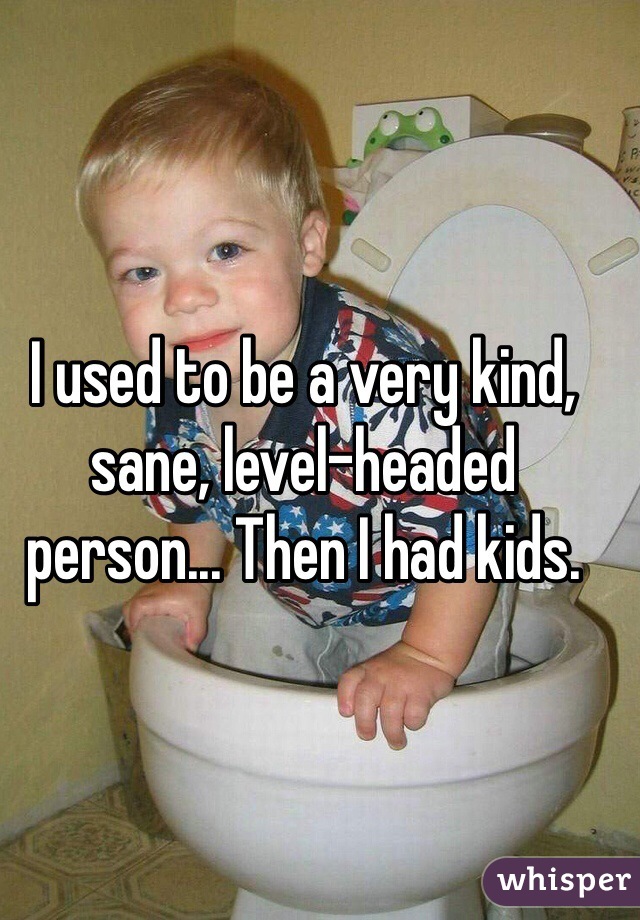 I used to be a very kind, sane, level-headed person... Then I had kids. 