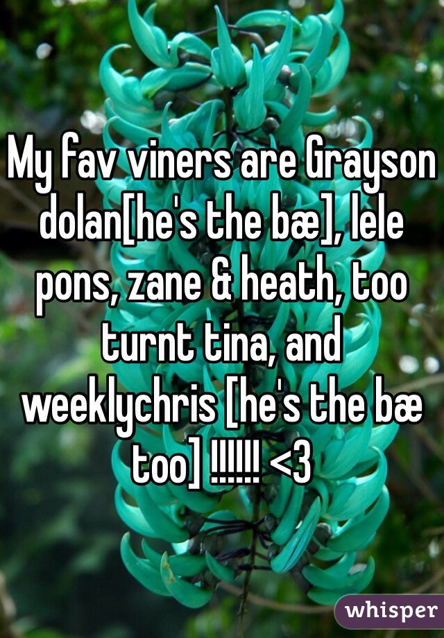My fav viners are Grayson dolan[he's the bæ], lele pons, zane & heath, too turnt tina, and weeklychris [he's the bæ too] !!!!!! <3 