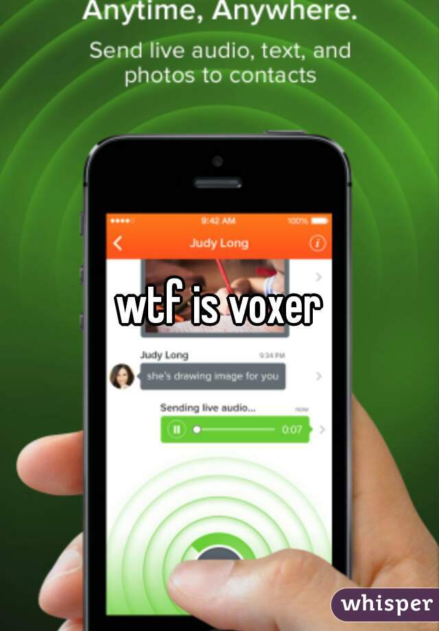 wtf is voxer