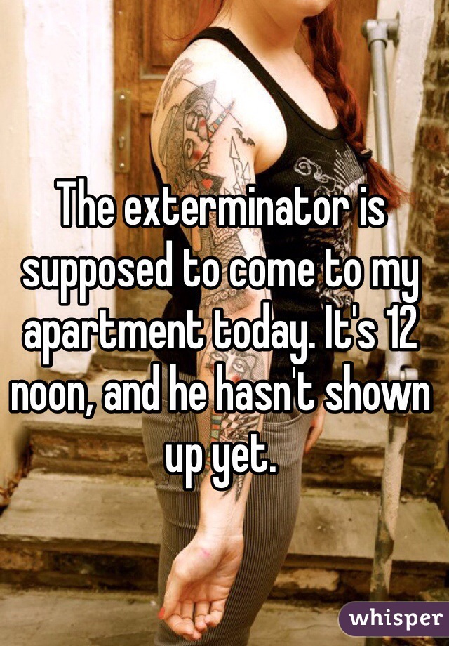 The exterminator is supposed to come to my apartment today. It's 12 noon, and he hasn't shown up yet. 