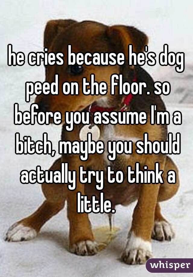 he cries because he's dog peed on the floor. so before you assume I'm a bitch, maybe you should actually try to think a little. 